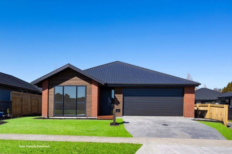 Photo of property in 217 Adler Drive, Ohauiti, Tauranga, 3112