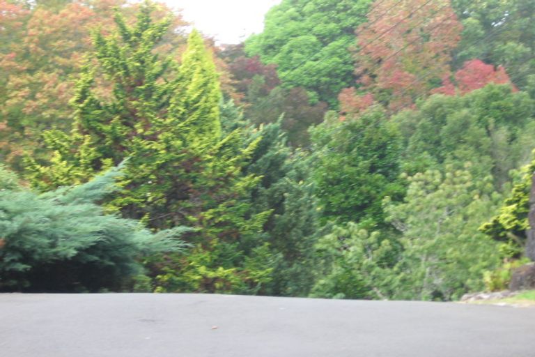 Photo of property in 48b West Lynn Road, Titirangi, Auckland, 0604