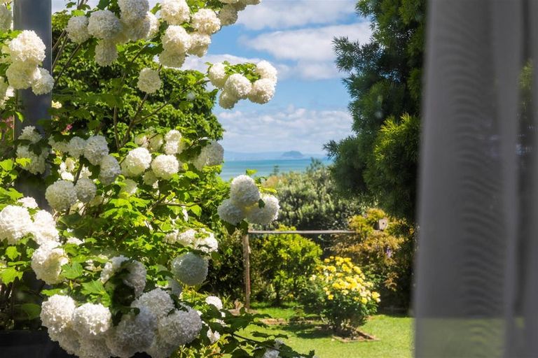 Photo of property in 33 Ngaparaoa Drive, Maketu, Te Puke, 3189