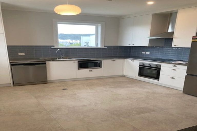 Photo of property in 1 Bidwill Street, Mount Cook, Wellington, 6021