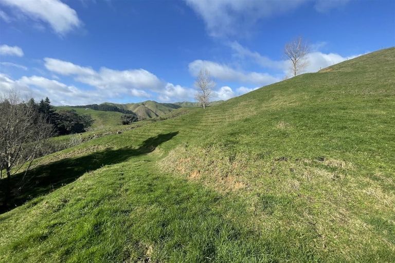 Photo of property in 346 Tauraroa Valley Road, Maihiihi, Otorohanga, 3975