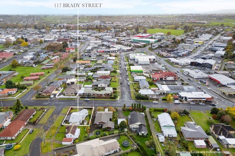 Photo of property in 117 Brady Street, Te Awamutu, 3800