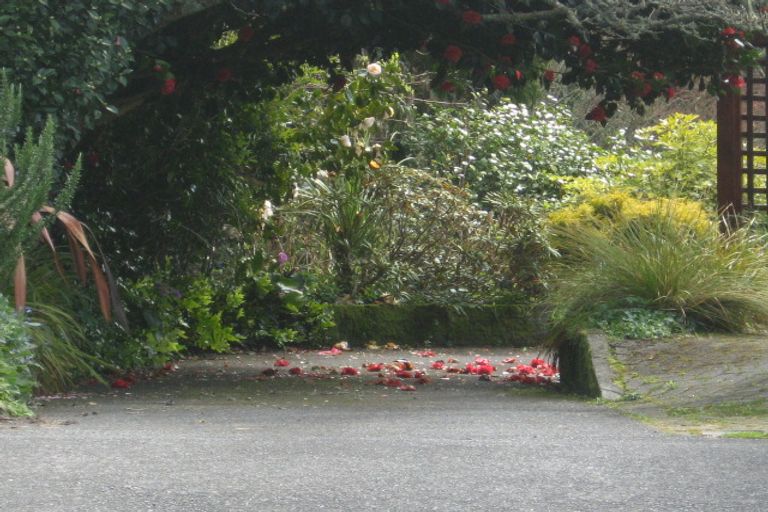 Photo of property in 16 Antonio Street, Stratford, 4332