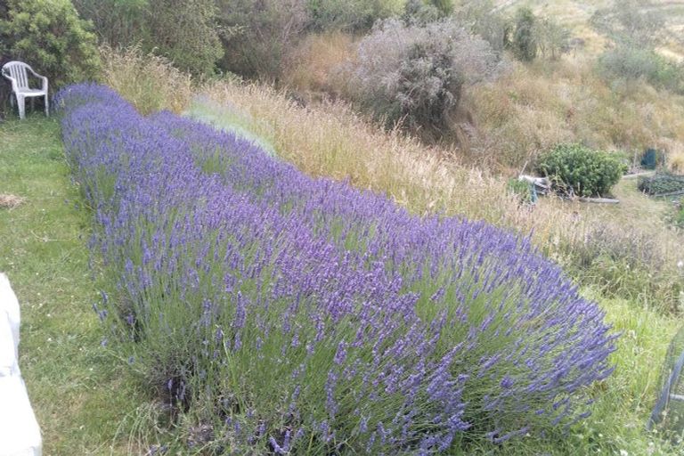 Photo of property in 660p Cathedral Road, Domett, Cheviot, 7383