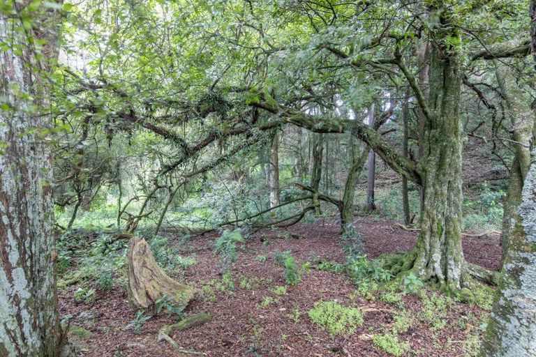 Photo of property in 137 Kiritaki Road, Dannevirke, 4972