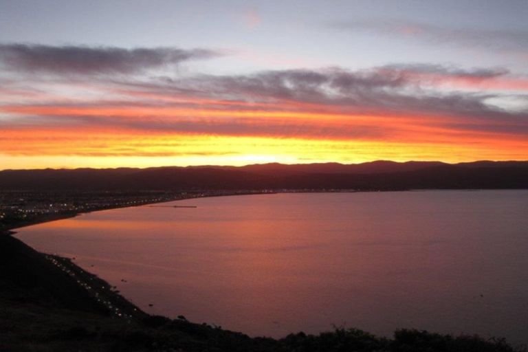 Photo of property in 21 Bendigo Grove, Newlands, Wellington, 6037