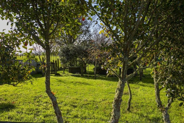 Photo of property in 180 White Road, Broadlands, Reporoa, 3081