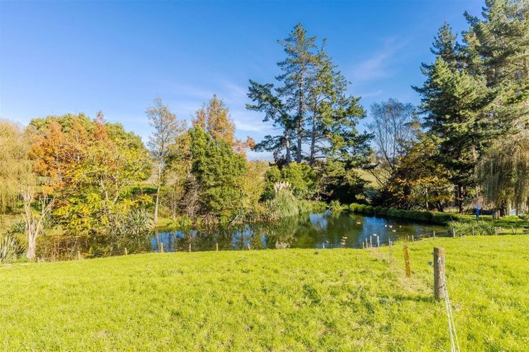 Photo of property in 194 Owairaka Valley Road, Parawera, Te Awamutu, 3877