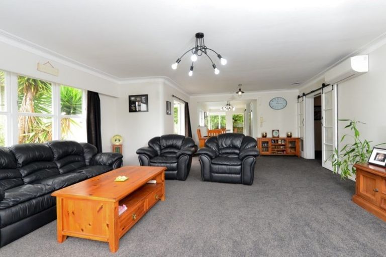 Photo of property in 14 Riverview Terrace, Fairfield, Hamilton, 3214