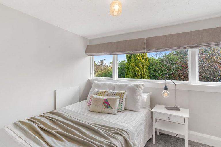 Photo of property in 43 Opawa Road, Waltham, Christchurch, 8023