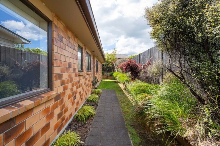 Photo of property in 168c Otumoetai Road, Brookfield, Tauranga, 3110