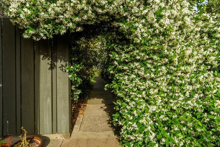 Photo of property in 17 Endeavour Avenue, Welcome Bay, Tauranga, 3112