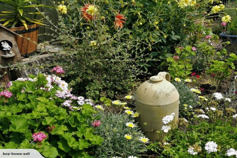 Photo of property in 1 Aurora Street, Sunnybrook, Rotorua, 3015