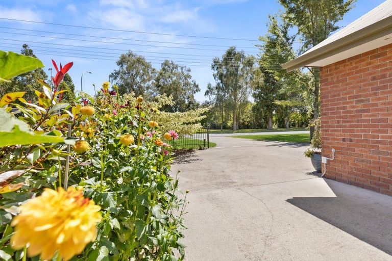 Photo of property in 120 Burwood Road, Matamata, 3400