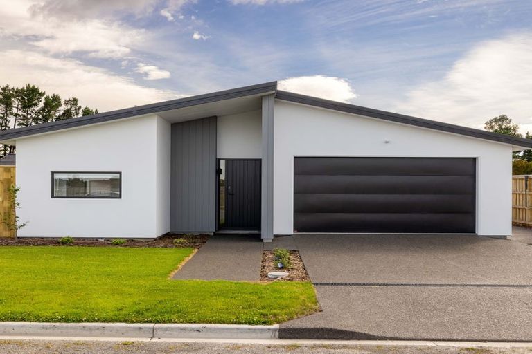 Photo of property in 29 Plover Avenue, Amberley, 7410