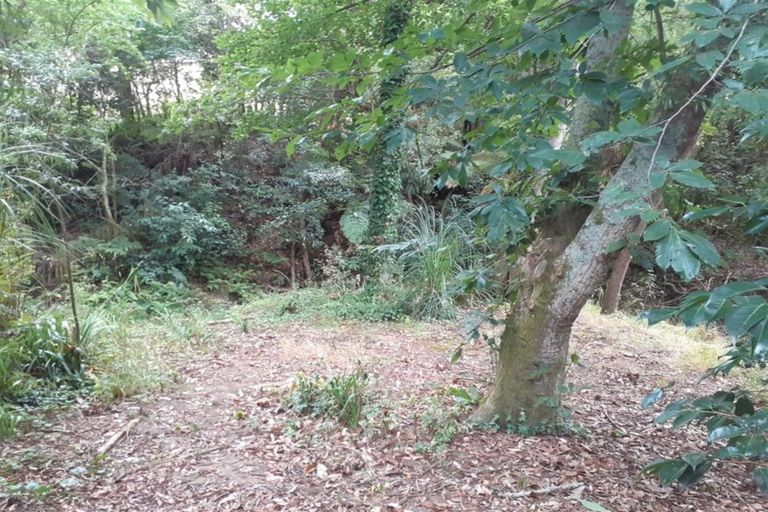 Photo of property in 431 Scotsman Valley Road, Tauwhare, Morrinsville, 3371