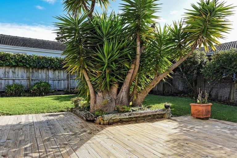 Photo of property in 6 Counsel Terrace, Mount Albert, Auckland, 1025