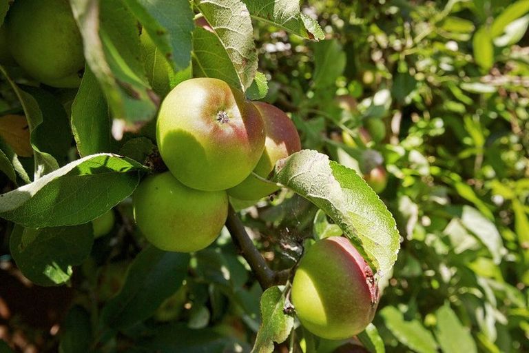 Photo of property in 18 Rossiter Street, Tawa, Wellington, 5028