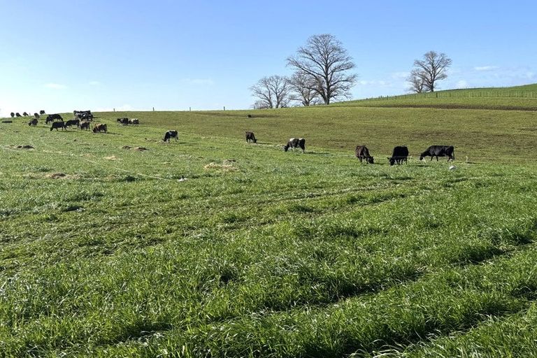 Photo of property in 233b Kio Kio Station Road, Otorohanga, 3974