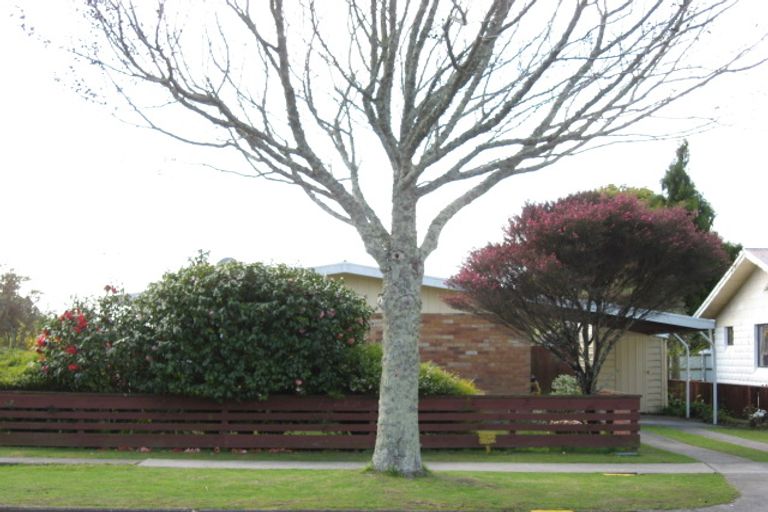 Photo of property in 20a Tui Street, Whakatane, 3120
