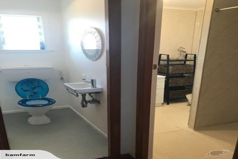 Photo of property in 50 Pagitt Street, Coromandel, 3506