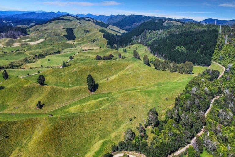 Photo of property in 109 Mcivor Road, Rotoma, Whakatane, 3192