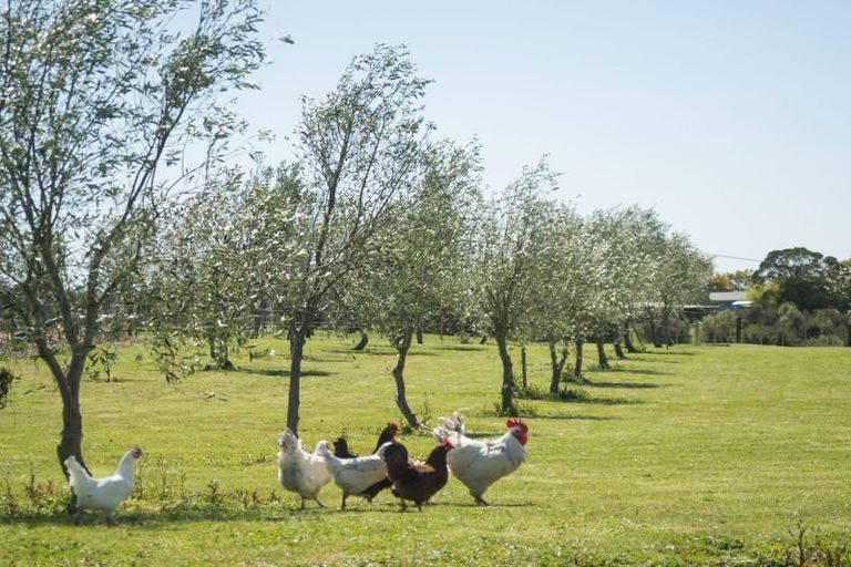 Photo of property in 192 Kerikeri Road, Kerikeri, 0230