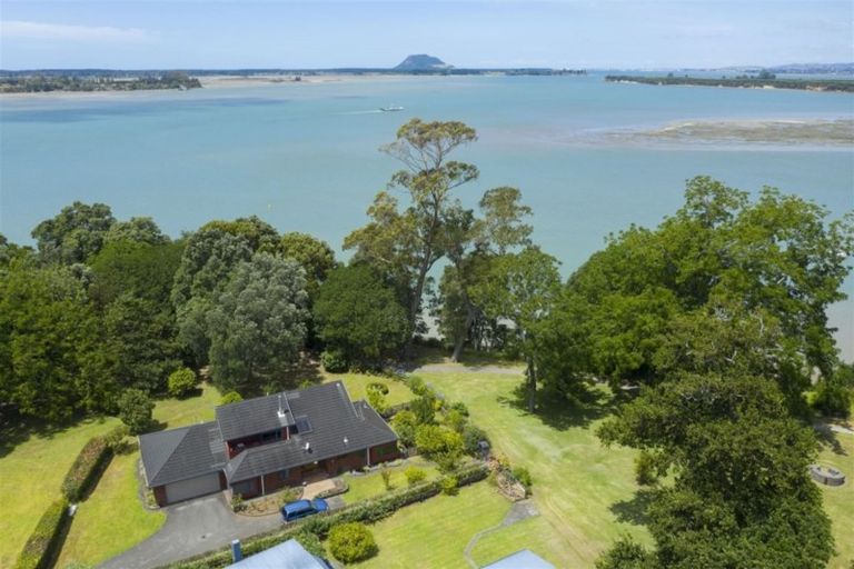 Photo of property in 22 Myrtle Drive, Omokoroa, 3114
