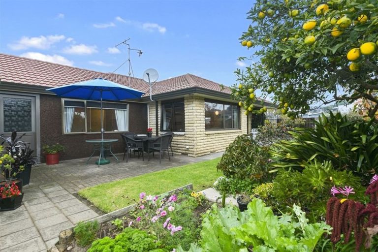 Photo of property in 111a Chapel Street, Otumoetai, Tauranga, 3110
