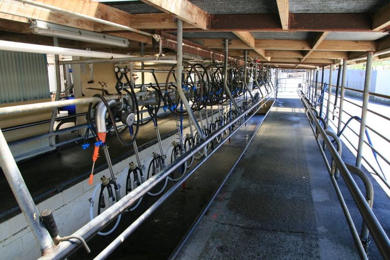 Photo of property in 1234 Richmond Road, Everett Park, Inglewood, 4389