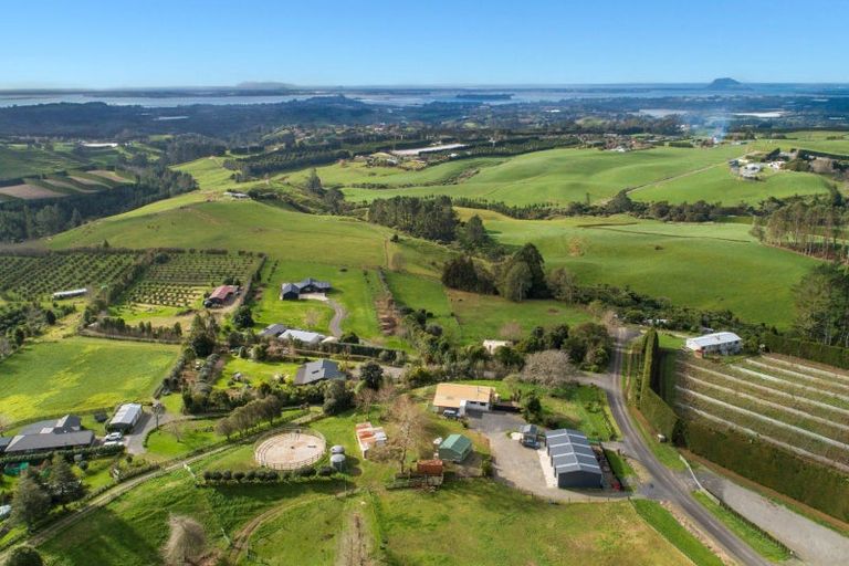 Photo of property in 67 Laurel Drive, Whakamarama, Tauranga, 3179