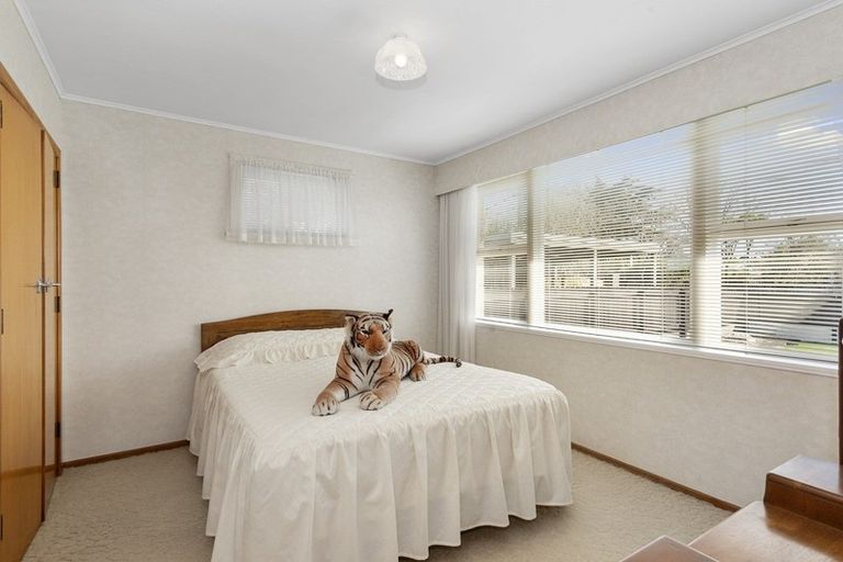 Photo of property in 88 Masters Avenue, Hillcrest, Hamilton, 3216