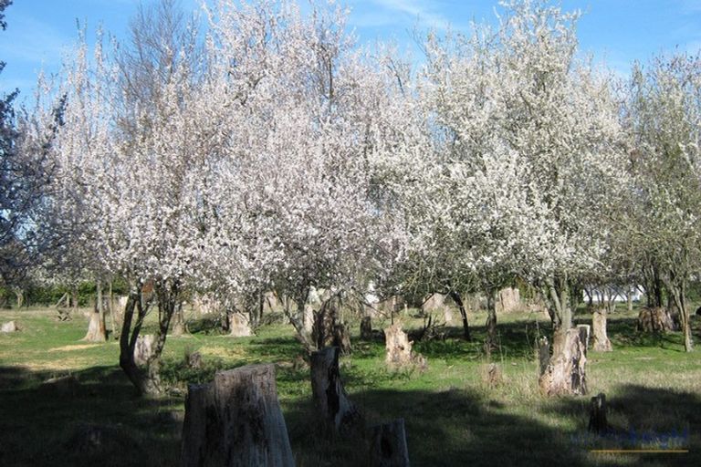 Photo of property in 721 Mclaughlins Road, Darfield, 7571