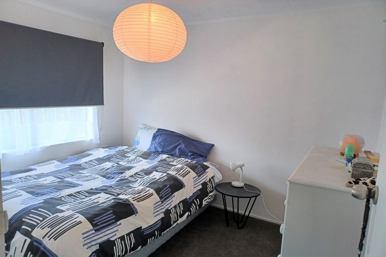 Photo of property in 17 Macloughlin Drive, Te Puke, 3119