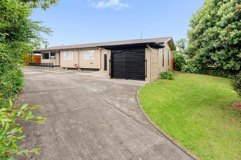 Photo of property in 97 Links Avenue, Mount Maunganui, 3116