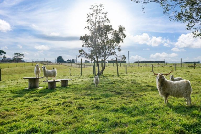 Photo of property in 98 Mcintosh Road, Otautau, 9683