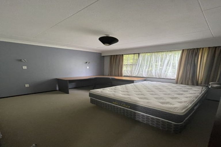 Photo of property in 100 London Street, Dunedin Central, Dunedin, 9016