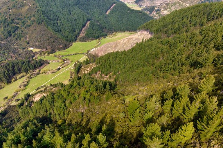 Photo of property in 895 Waikakaho Road, Tuamarina, Blenheim, 7273