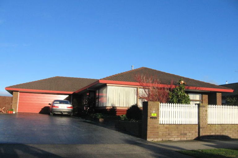 Photo of property in 115 John F Kennedy Drive, Milson, Palmerston North, 4414