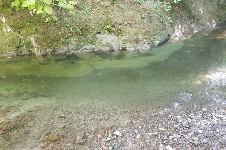 Photo of property in 199 Waituna Road, Pahiatua, 4982