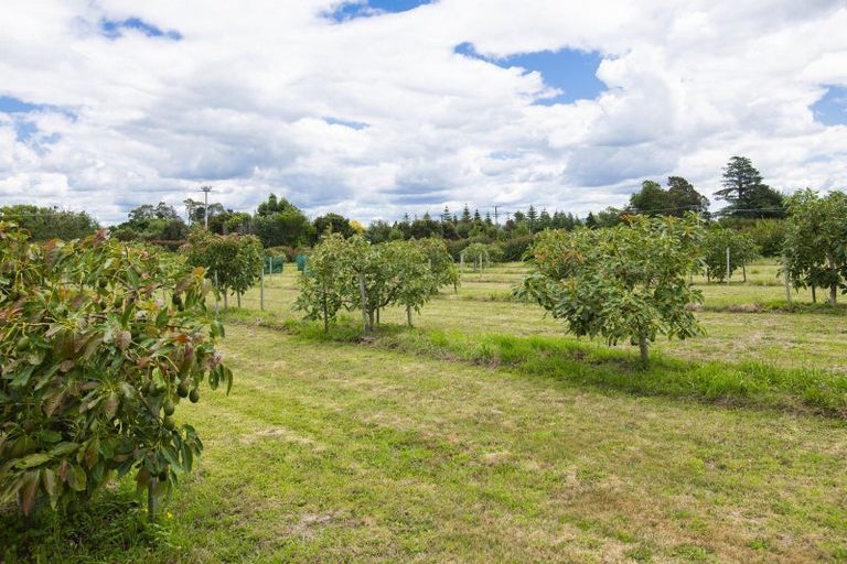 Photo of property in 547 Nelson Road, Lytton West, Gisborne, 4071