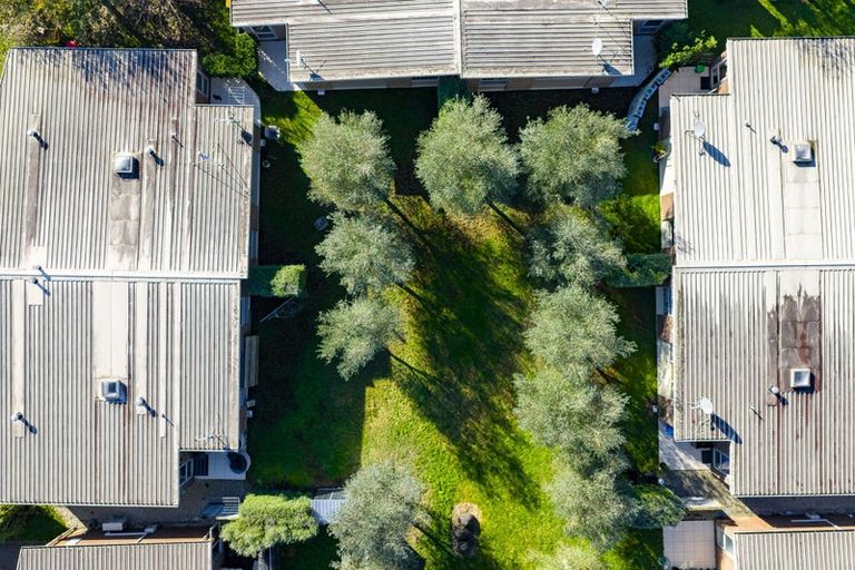 Photo of property in 44/46 Peachgrove Road, Hamilton East, Hamilton, 3216