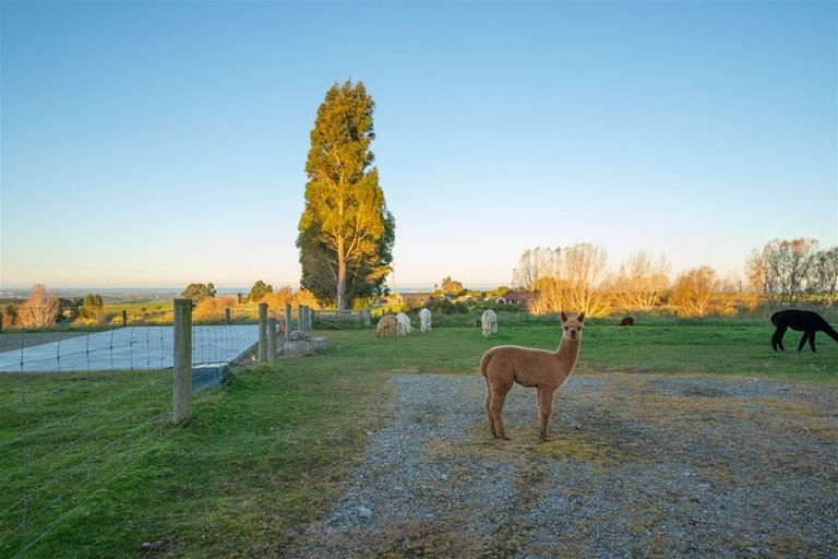 Photo of property in 520 Fraser Road, Levels Valley, Timaru, 7975