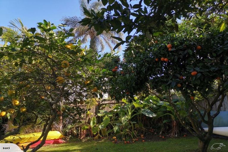 Photo of property in 19 Albany Road, Ponsonby, Auckland, 1011