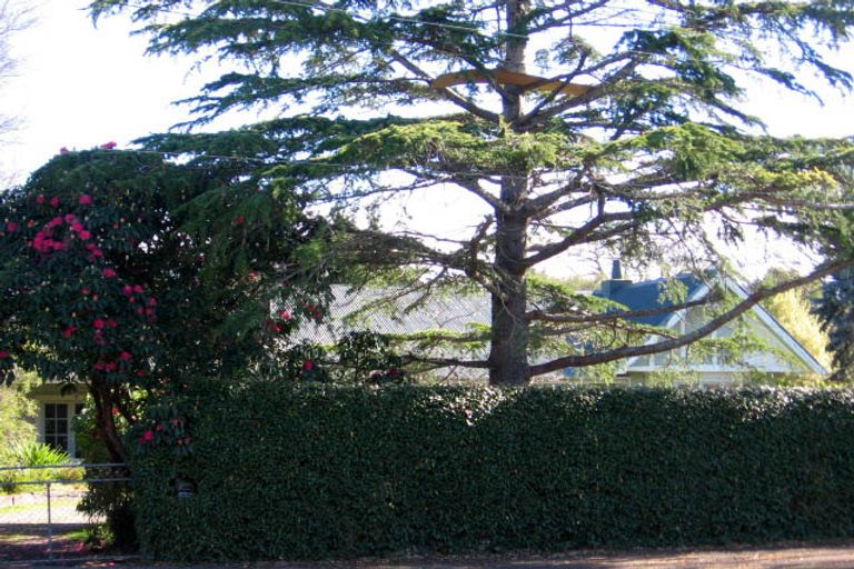 Photo of property in 29 Victoria Street, Masterton, 5810