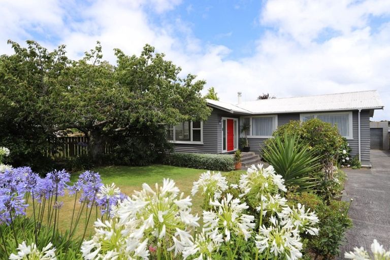 Photo of property in 91 Stanners Street, Eltham, 4322