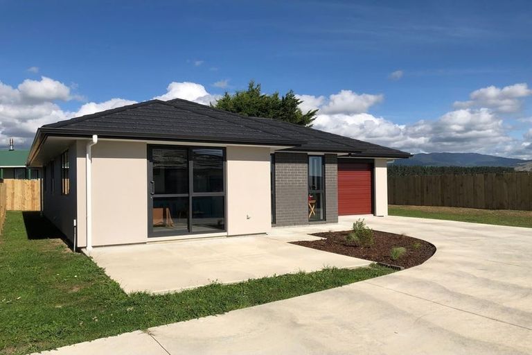 Photo of property in 79a Hinemoa Street, Levin, 5510