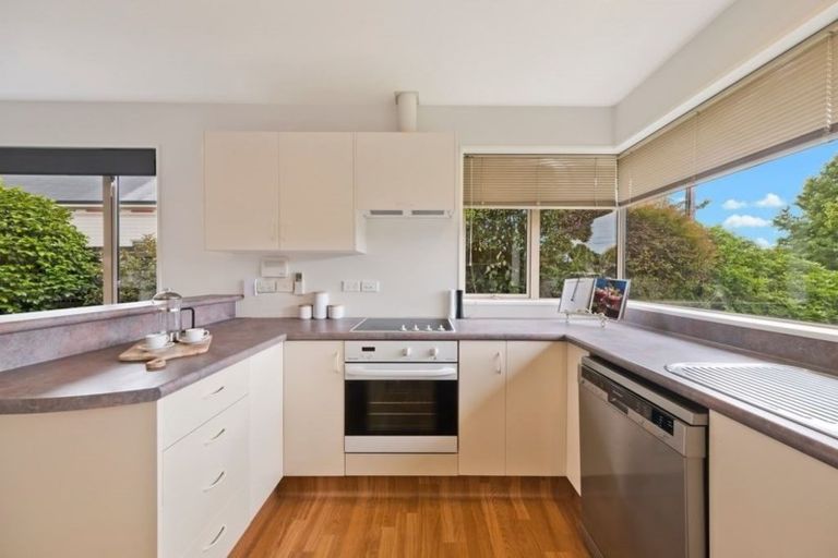 Photo of property in 115 Somerfield Street, Somerfield, Christchurch, 8024