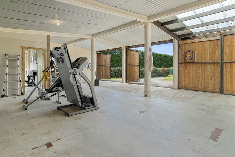 Photo of property in 84 Plummer Road, Whakamarama, Tauranga, 3179