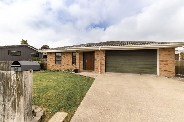 Photo of property in 103 Peel Street, Westport, 7825